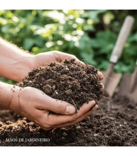Manutenção de Jardins