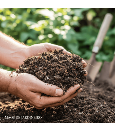Manutenção de Jardins